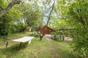 #Pinetree Cabin by halu! Villas